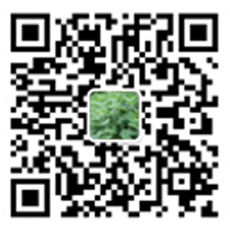 公司公眾號(hào)